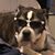 Chris DeForest's profile image