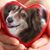 Tami Sausser's profile image