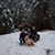 Fred Funck's profile image