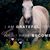 Christine Goans's profile image