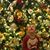 Susan Juntunen's profile image