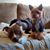 Christine Mcinerney's profile image