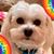 Judith Kotrola's profile image