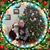 Cheryl Wolff Rossfeld's profile image