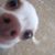 Jim Kearns's profile image