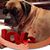 Theresa Nehrt's profile image