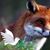 Angeles Porfirio's profile image