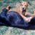 Christopher Brewster's profile image