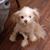 Michele Burgess's profile image