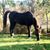 Karin Hathaway's profile image