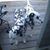 Mary Honkomp McWilliams's profile image