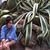 Brittany Dugas's profile image