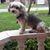 Maureen Roseingrave's profile image