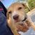 Gael Garcia's profile image