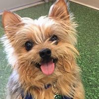 Tami Jenks's profile image