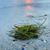Cynthia Markley's profile image