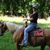 Debra Lynn Ortman Weaver's profile image
