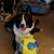 Valerie Hallberg-Stallings's profile image