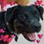 Marie Insel's profile image