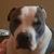 Jim Jackson's profile image