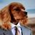 F Gerardo Viau's profile image