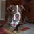 Ron Dietrich's profile image