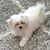 Kathleen Ellen Bourinot's profile image