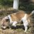 Connie Scott's profile image