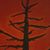 Karen Brown's profile image
