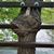 Mary Jewell's profile image