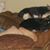 Kerri Rice's profile image