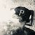 Brian C. Johnson's profile image