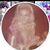 Teri Frank's profile image