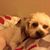 Debbie Doyle's profile image