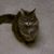 Rebecca Fahrnbach's profile image