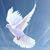 Kathy Simon Cedars's profile image