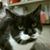 Barbara Calcese's profile image