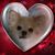 MaryAnne Elisabeth Jones's profile image