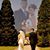 Francisco Y. Giovanna Reyes's profile image