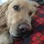 Terri Griffith DiNarda's profile image