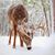Maria Hardesty's profile image