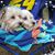 Gene Boura's profile image