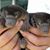Benny Shute's profile image