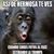 Maribel Jaimes Garcia's profile image