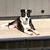 Lori Capasso-Newell's profile image