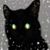 Kevin Frost's profile image