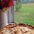 Pam Dexter Waite's profile image