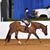 Corryn Casteel's profile image