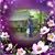 Elizabeth Thealk's profile image