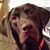 Janine Welch's profile image